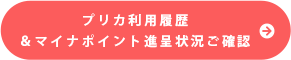 プリカ利用履歴&マイナポイント進呈状況ご確認