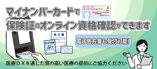 マイナカードオンライン確認202506